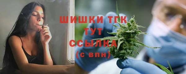 дурь Богданович